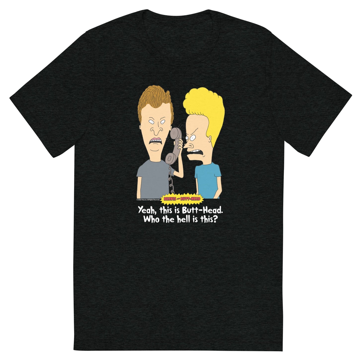 Beavis and Butt - Head Who Is This Adult Tri - Blend T - Shirt - Paramount Shop