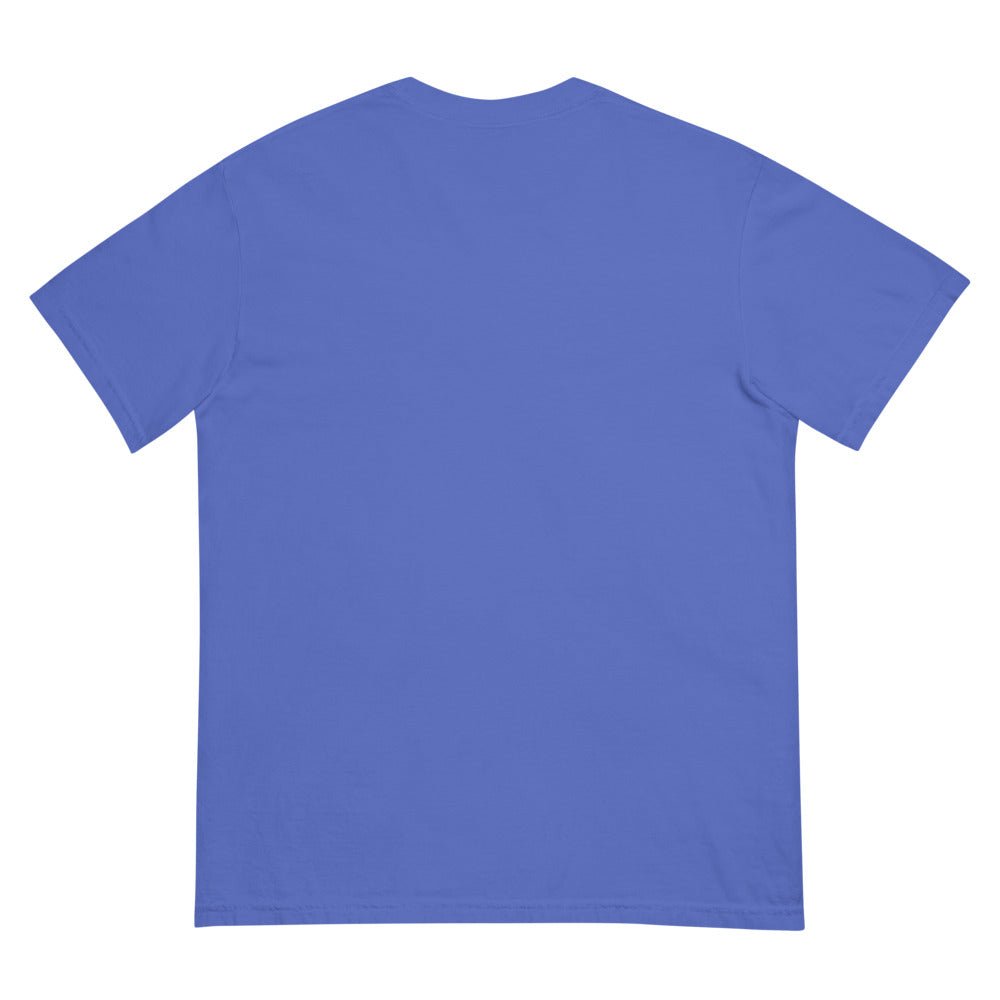 Big Brother Expect The Unexpected Comfort Colors Unisex T-Shirt - Paramount Shop