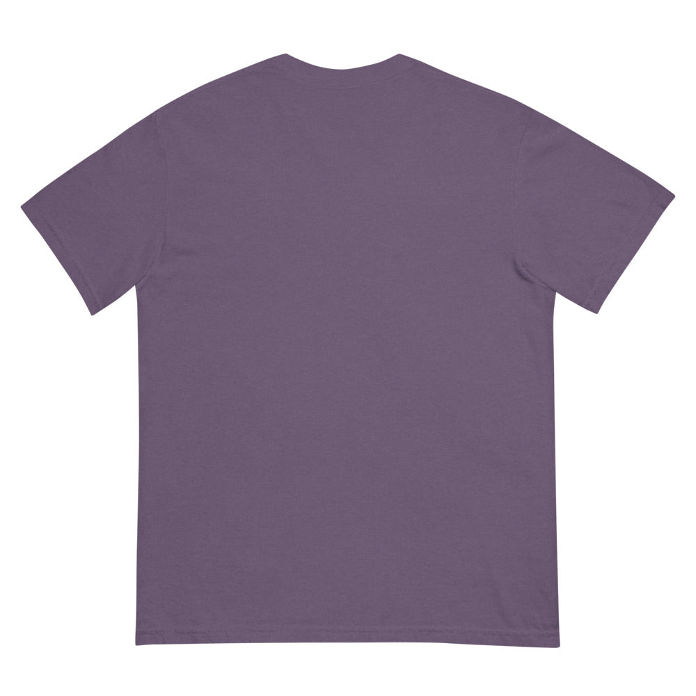 Big Brother Hotel Mystere Unisex Comfort Colors T-Shirt - Paramount Shop