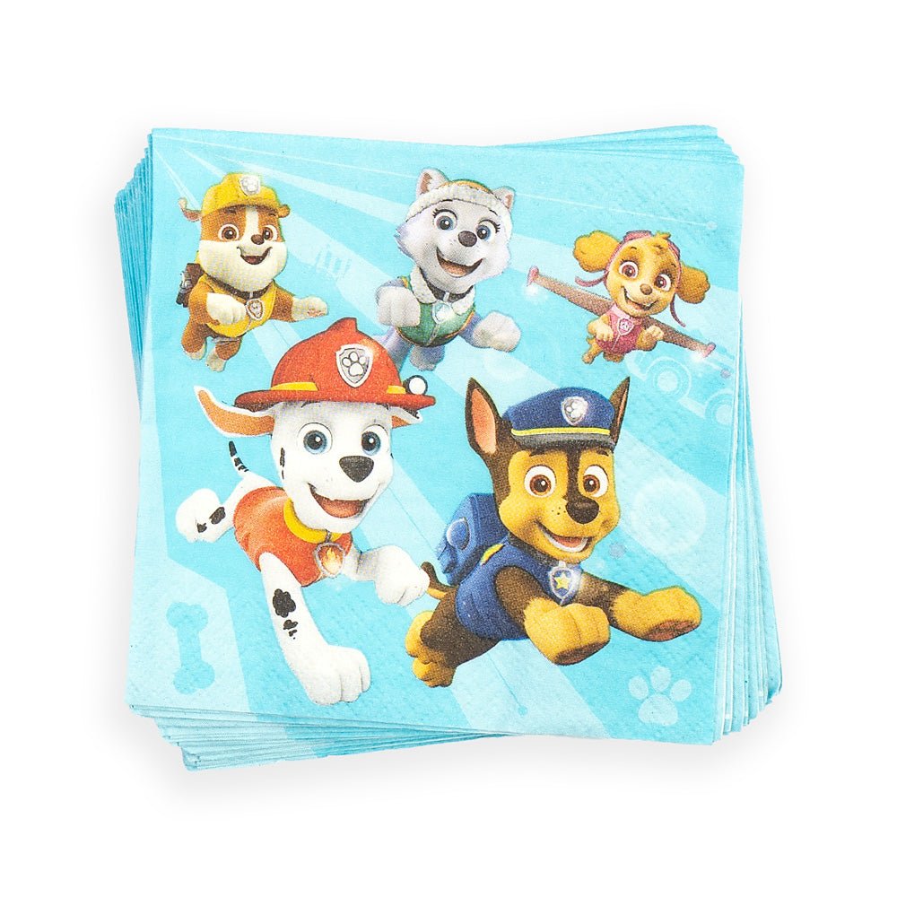 PAW Patrol Boys Party Supply Bundle - Paramount Shop