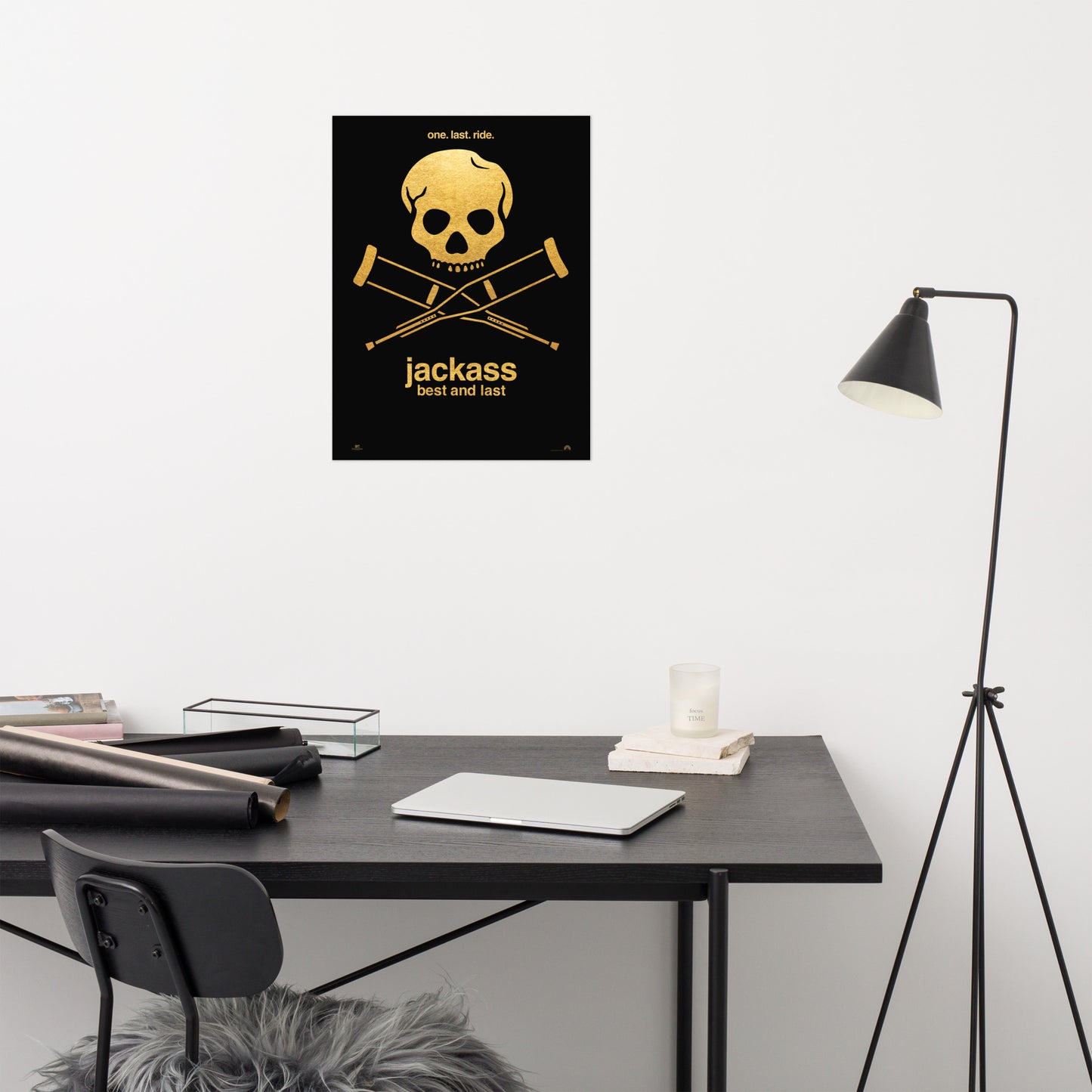 jackass Poster best and last