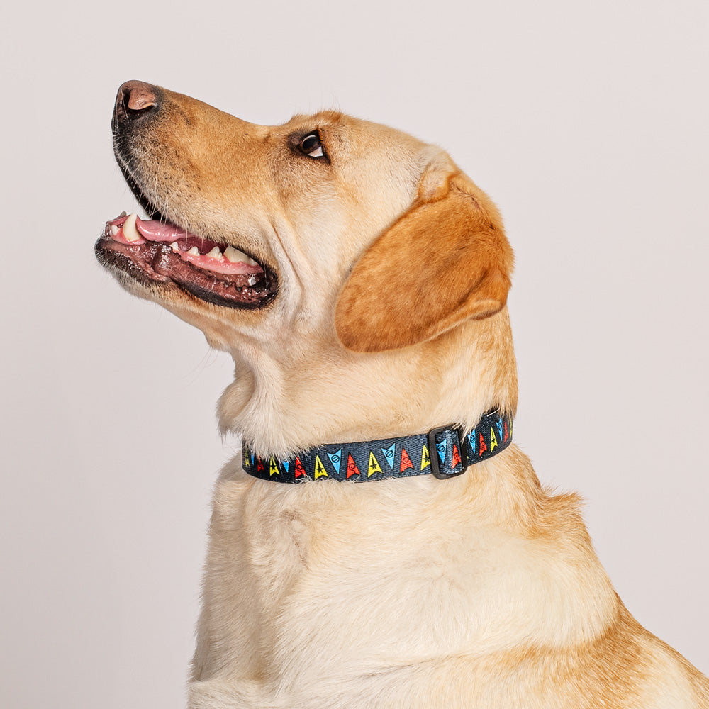 Star Trek Deltas Hundehalsband