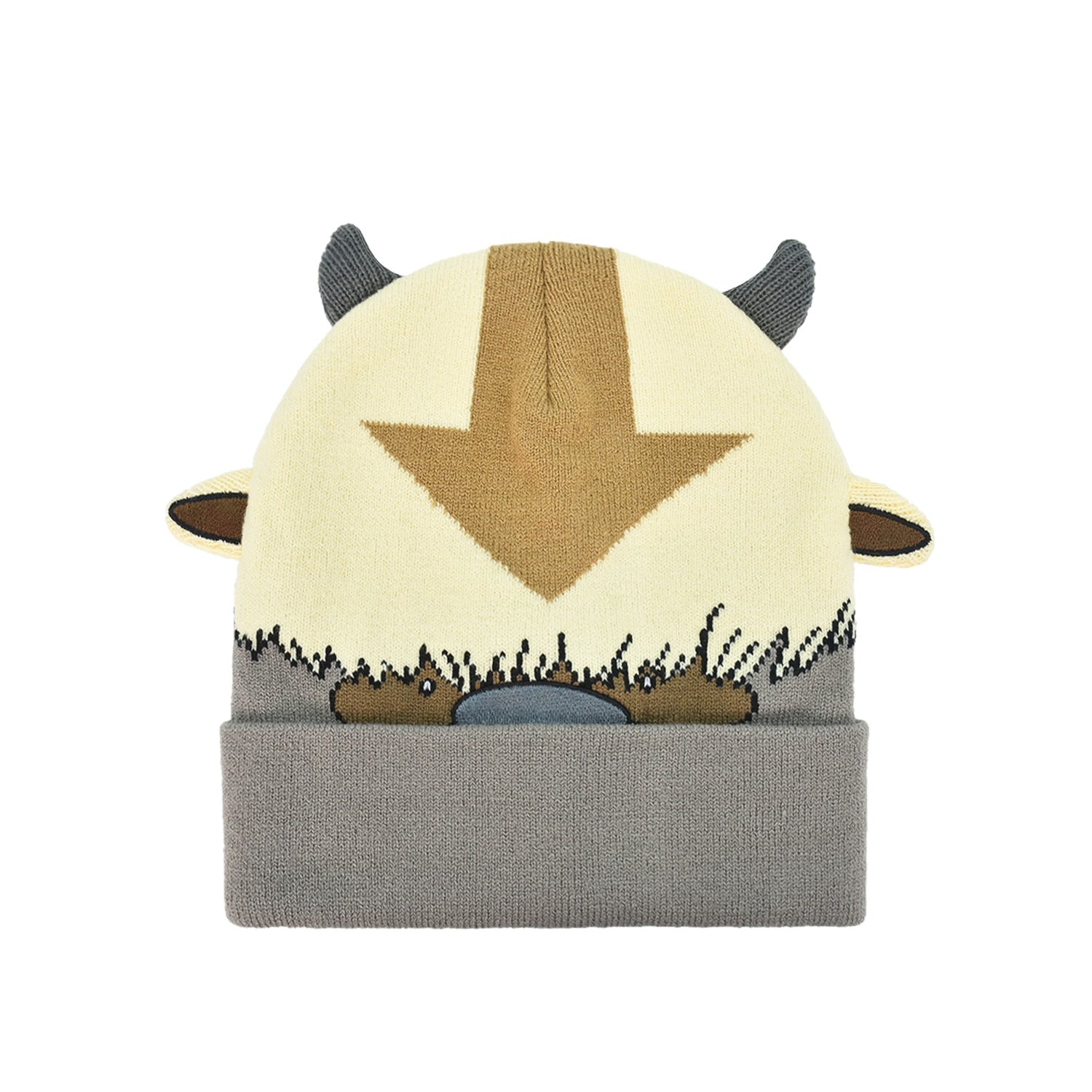Avatar The Last Airbender multi-color knitted beanie with cuff front view