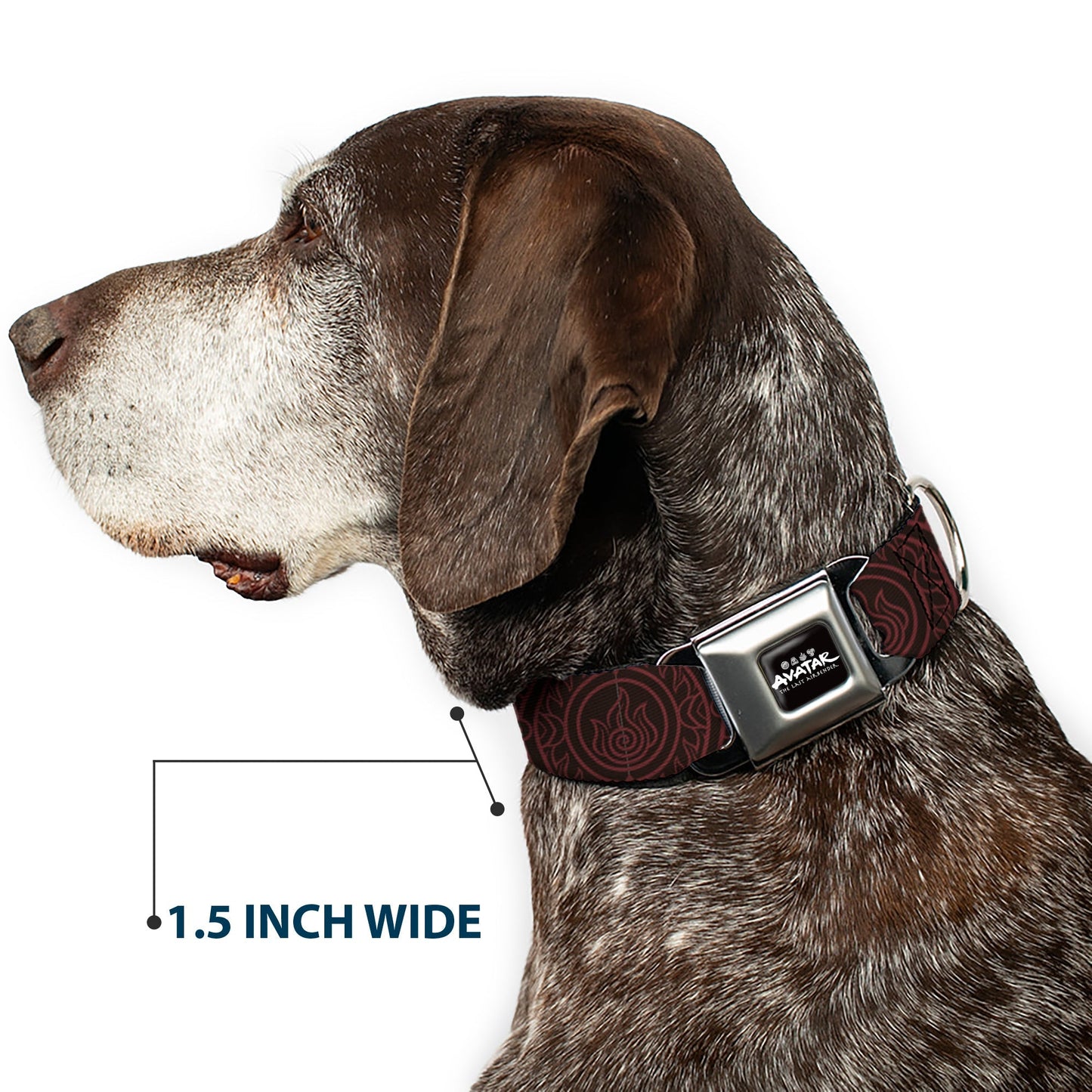 Avatar: Last Airbender Fire Element Seatbelt Buckle Dog Collar - Paramount Shop