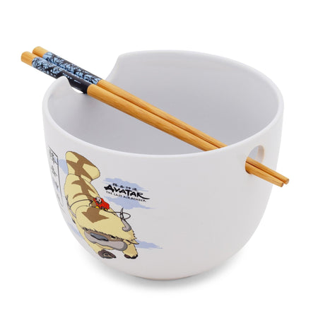 Avatar: The Last Airbender Aang and Appa Ramen Bowl Set - Paramount Shop