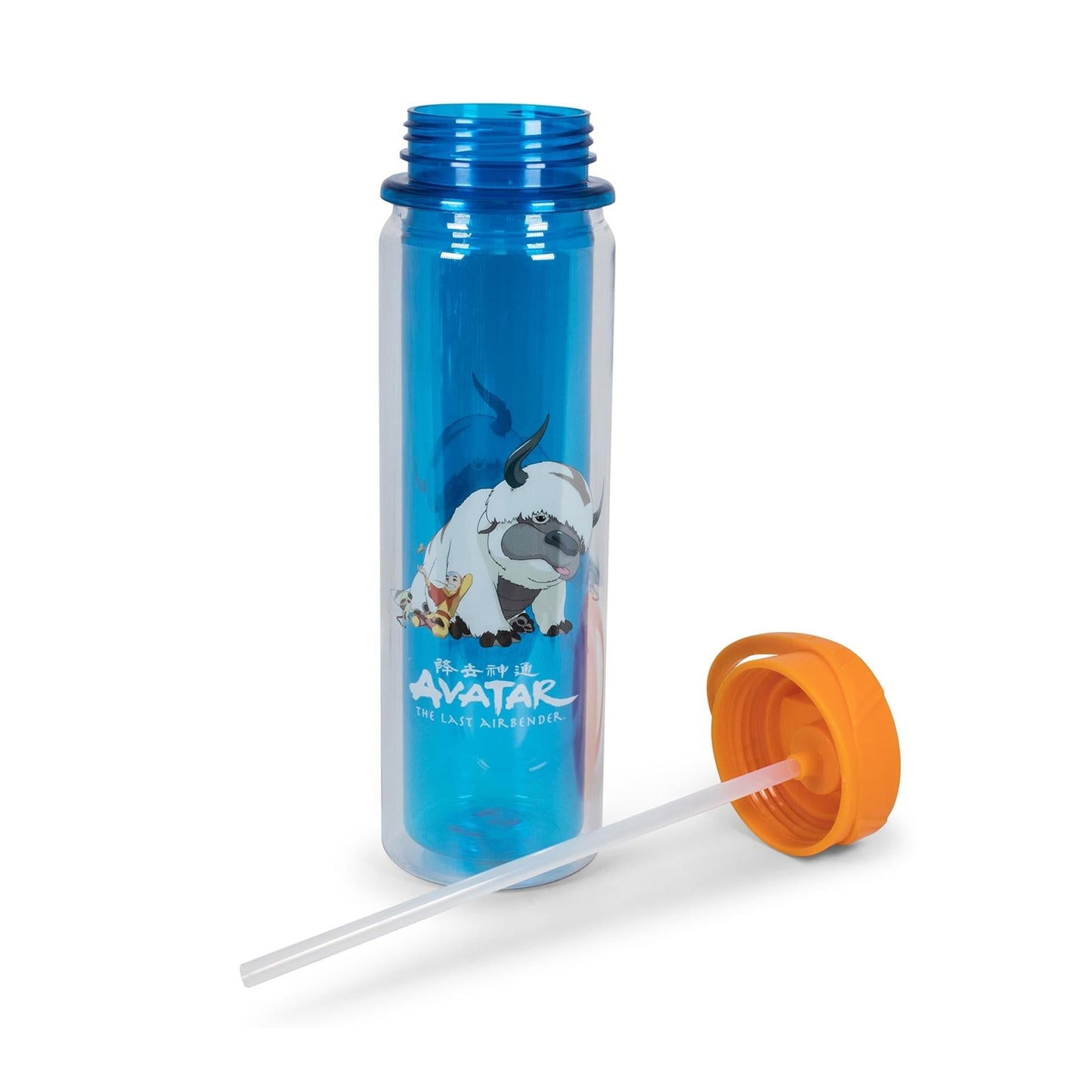 Avatar: The Last Airbender Aang and Appa Water Bottle
