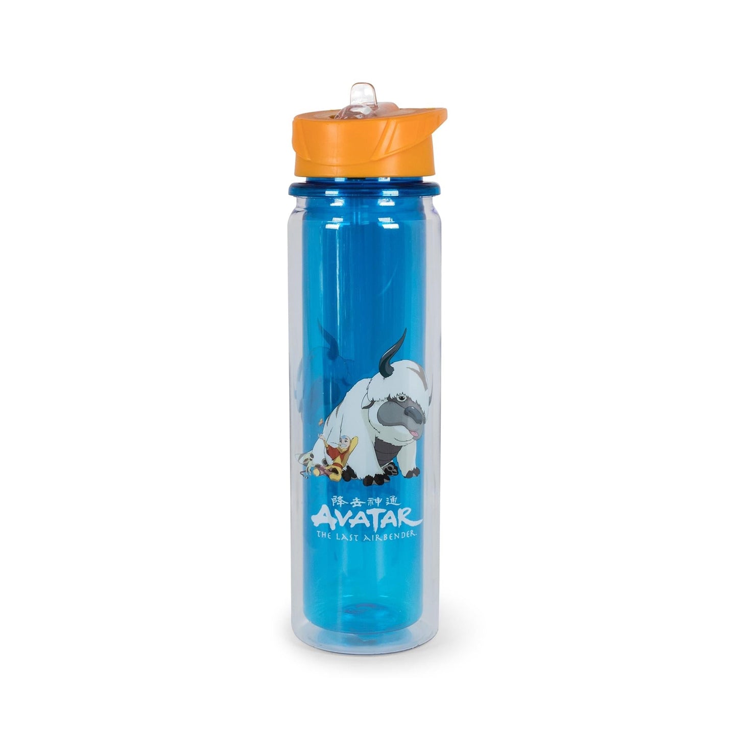 Avatar: The Last Airbender Aang and Appa Water Bottle