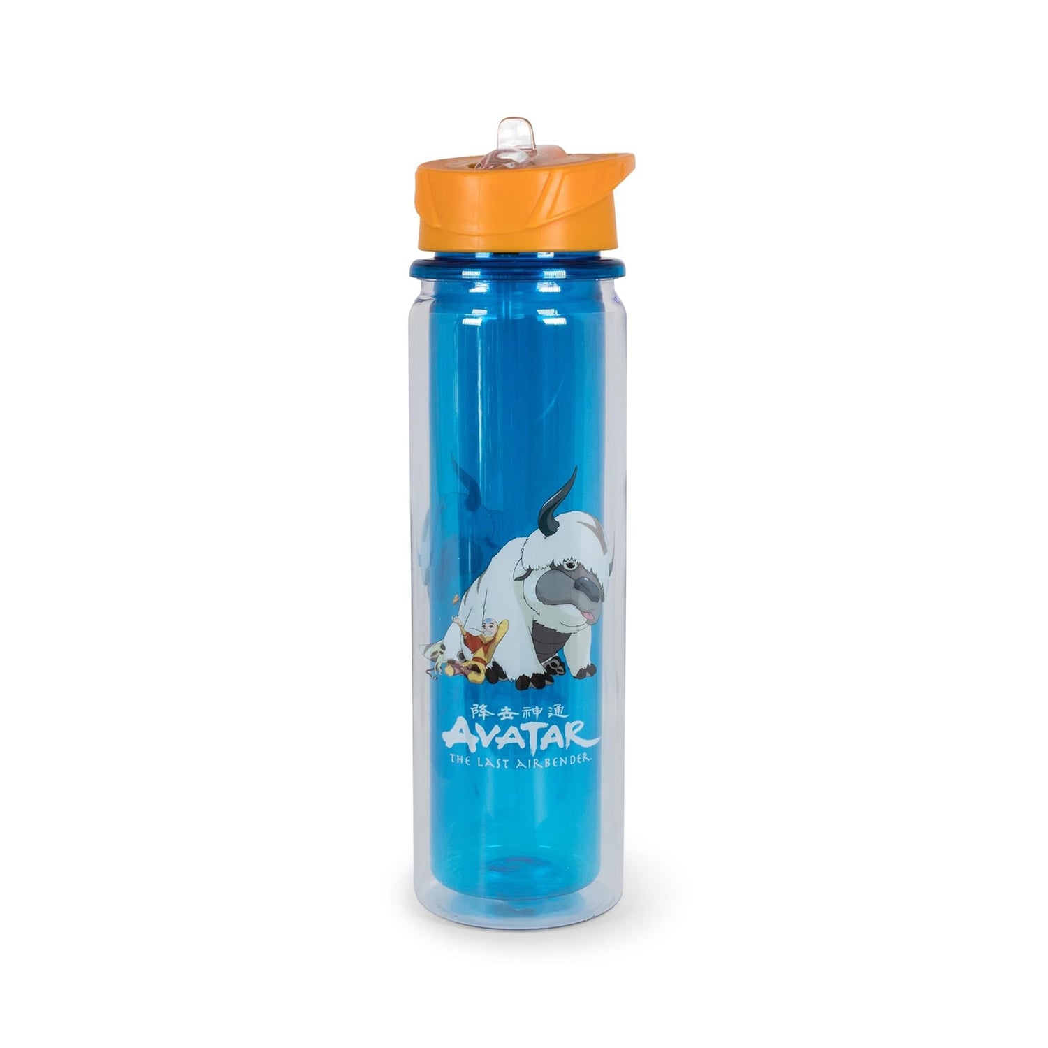 Avatar: The Last Airbender Aang and Appa Water Bottle