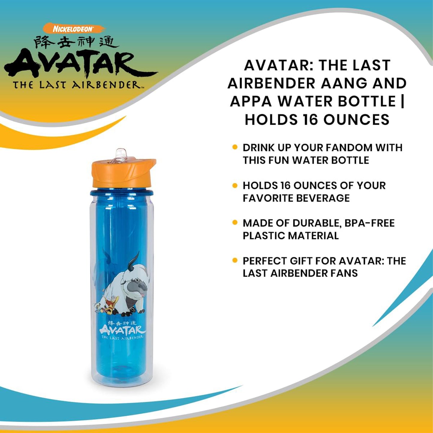 Avatar: The Last Airbender Aang and Appa Water Bottle