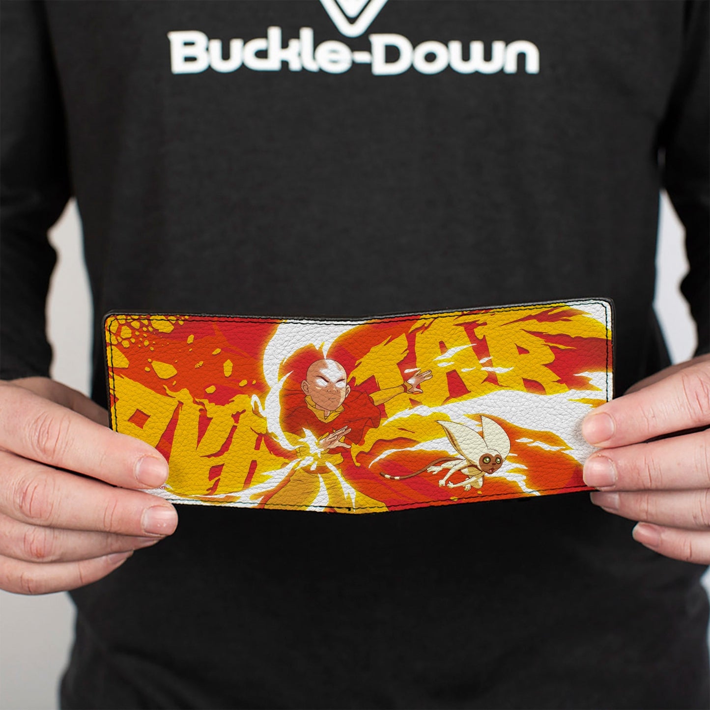 Avatar: The Last Airbender Aang and Momo Bi - Fold Wallet - Paramount Shop