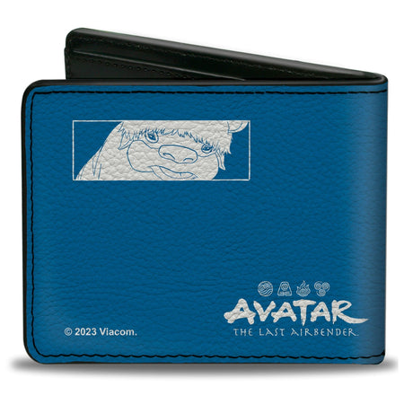 Avatar: The Last Airbender Aang Character Bi - Fold Wallet - Paramount Shop