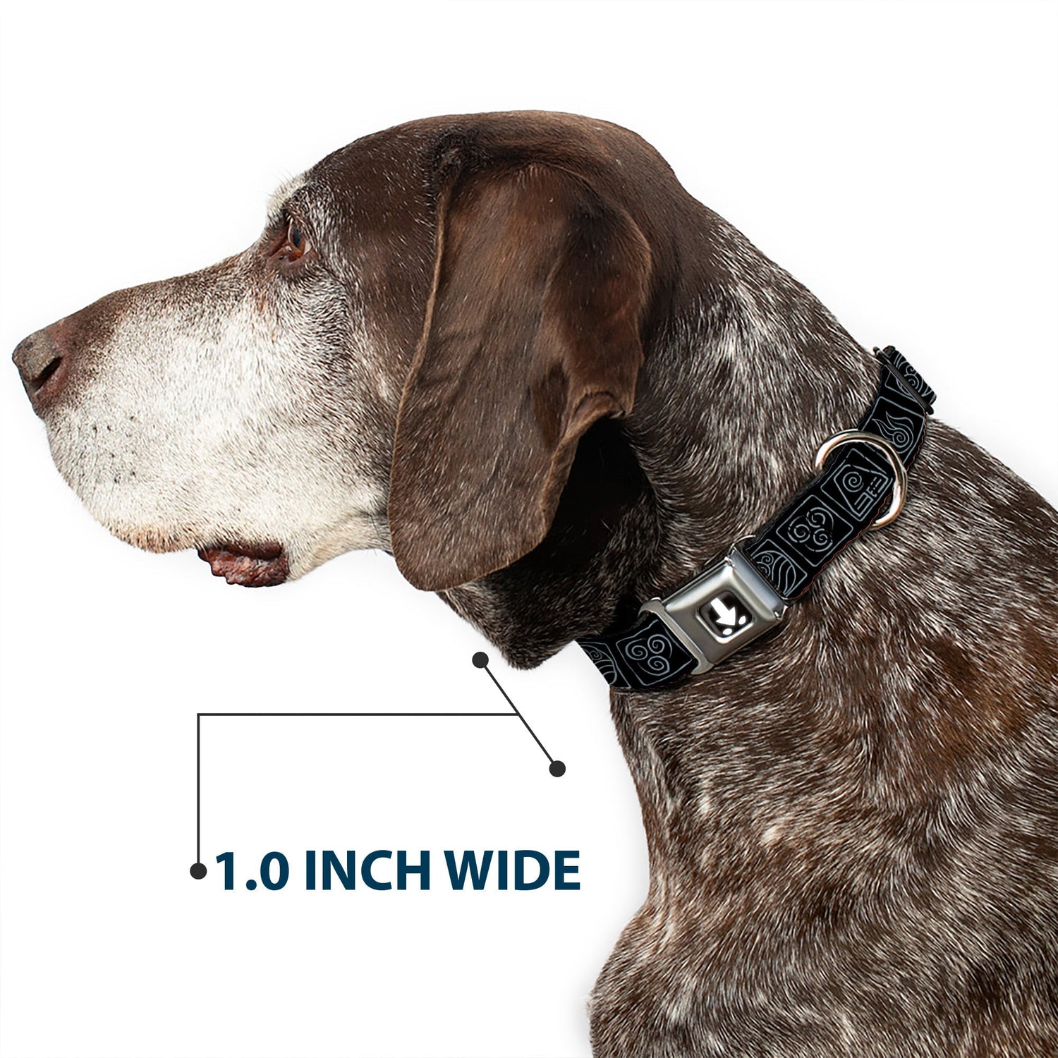 Avatar: The Last Airbender Aang Elements Seatbelt Dog Collar - Paramount Shop
