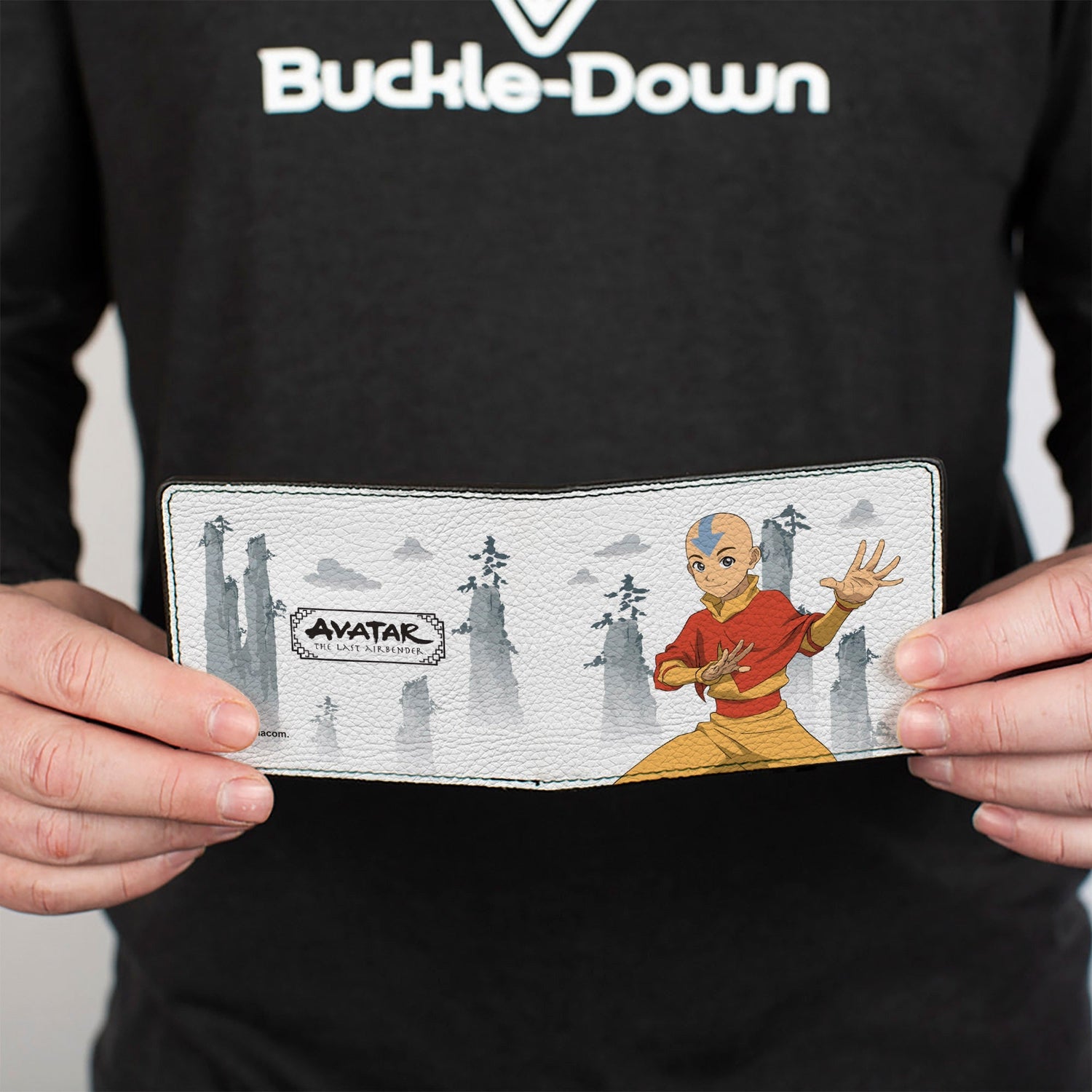 Avatar: The Last Airbender Aang Scenery Bi - Fold Wallet - Paramount Shop