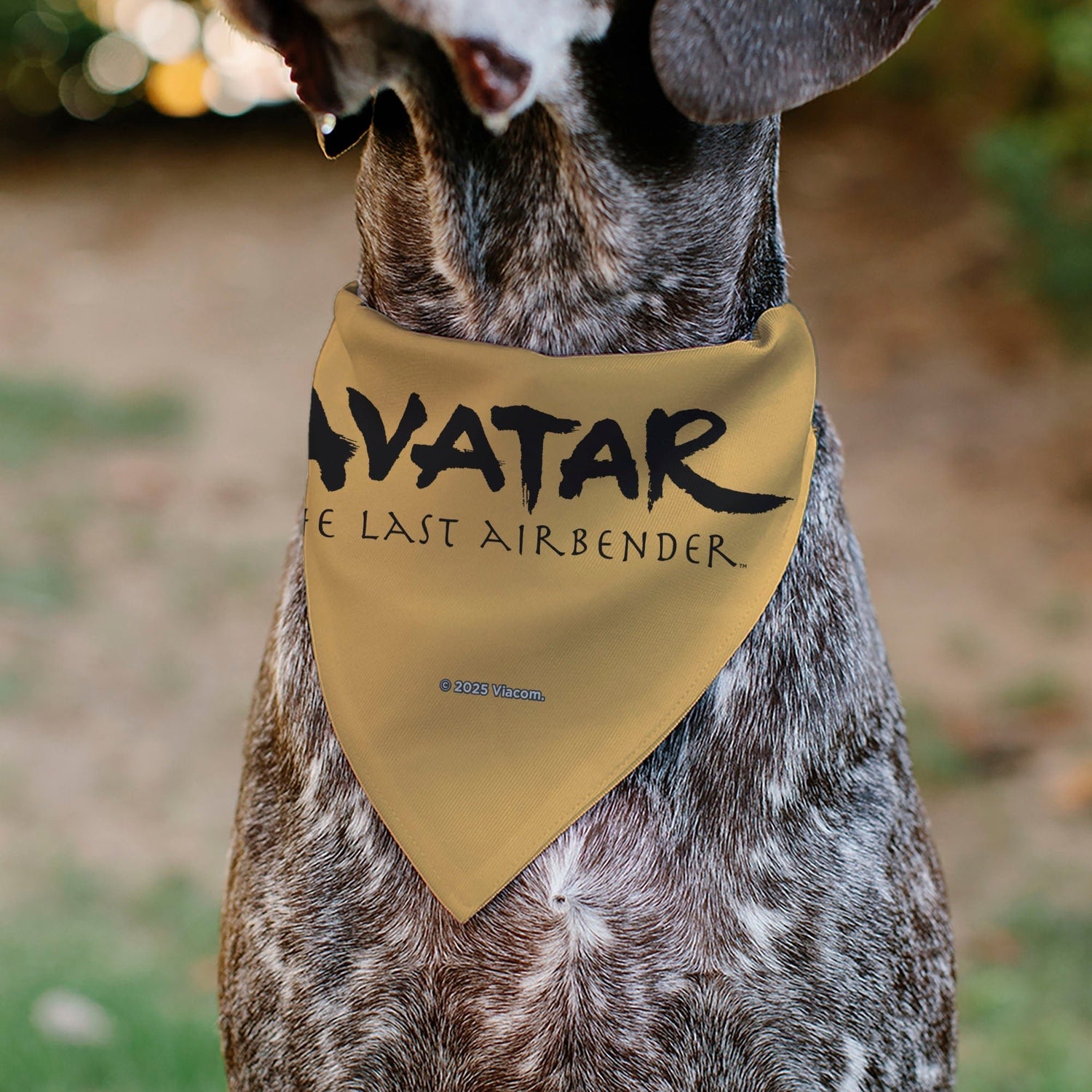 Avatar The Last Airbender Action Pose Yellow Pet Bandana - Paramount Shop