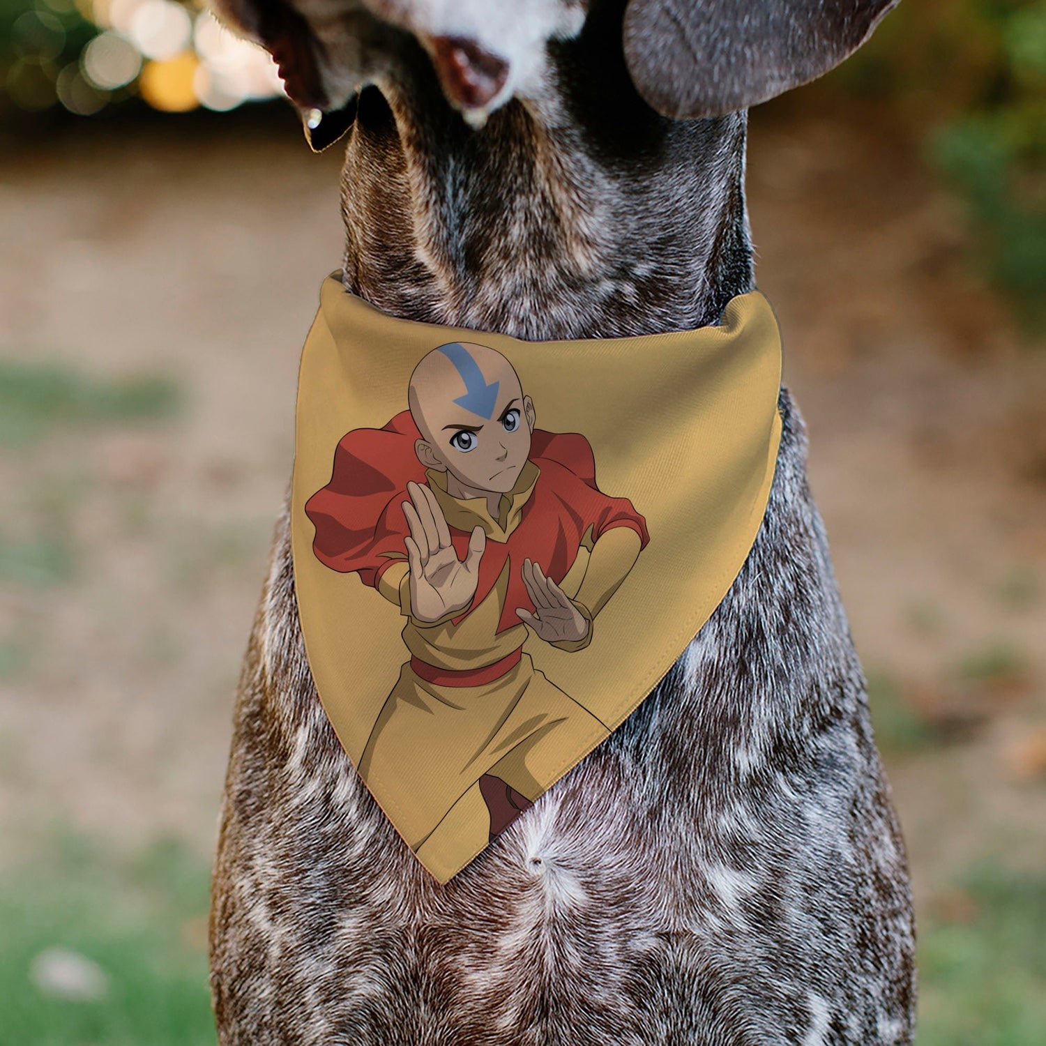 Avatar The Last Airbender Action Pose Yellow Pet Bandana - Paramount Shop