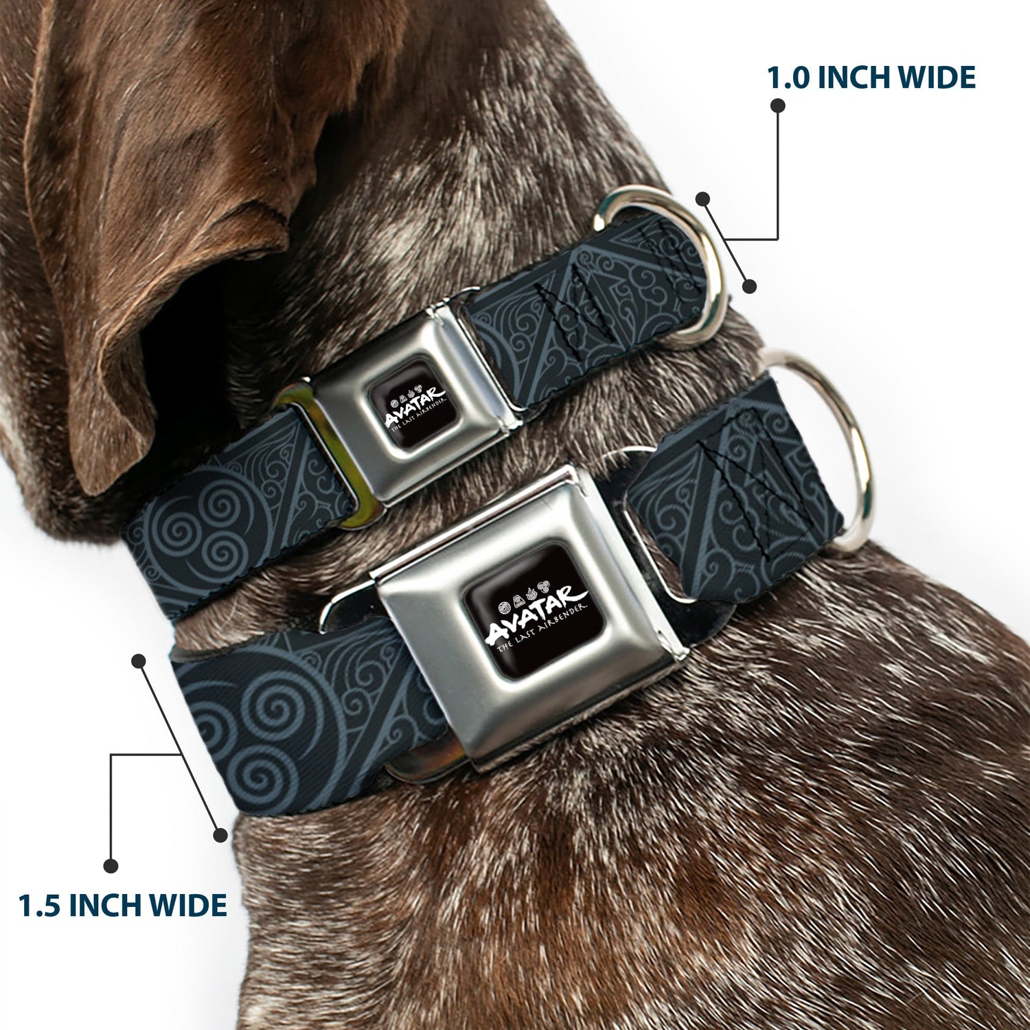 Avatar: The Last Airbender Air Element Logo Seatbelt Collar - Paramount Shop