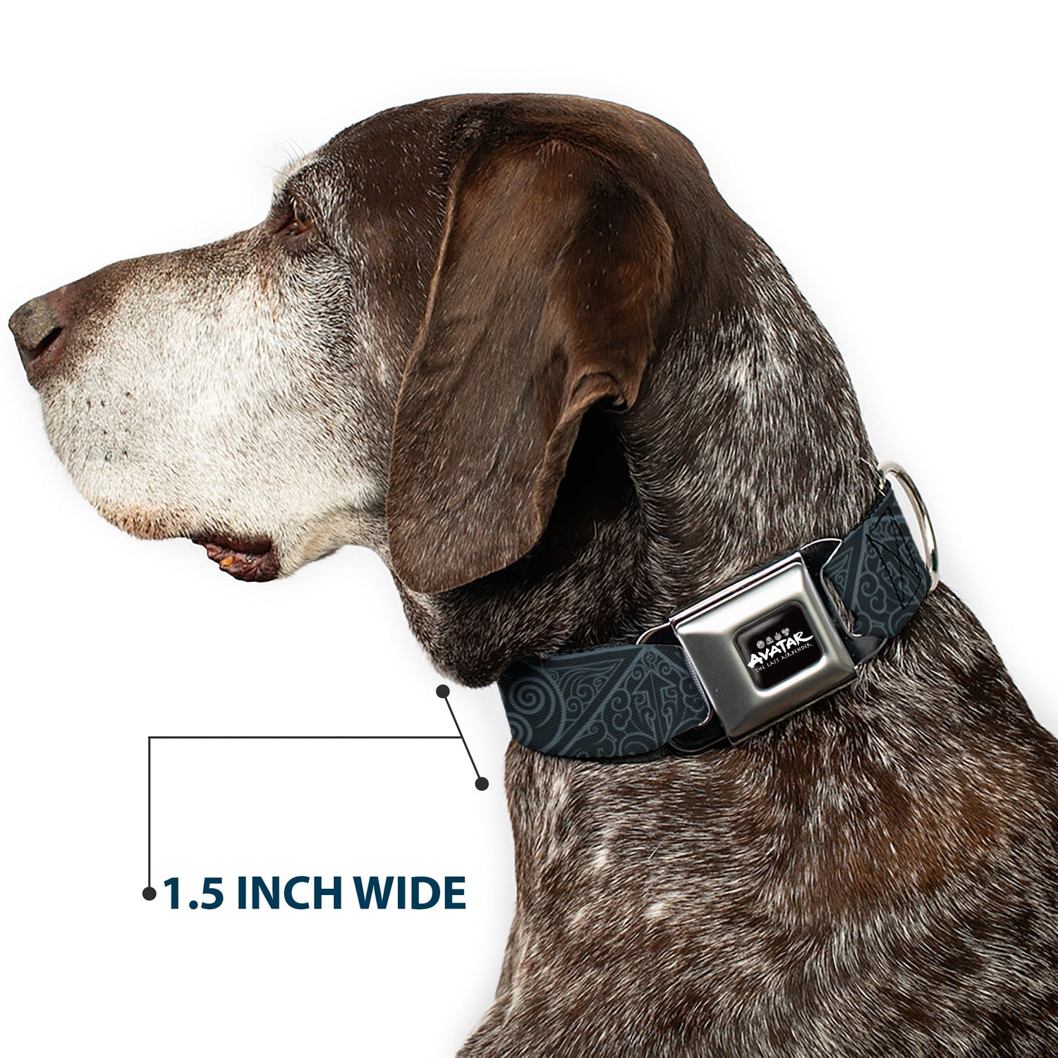 Avatar: The Last Airbender Air Element Logo Seatbelt Collar - Paramount Shop