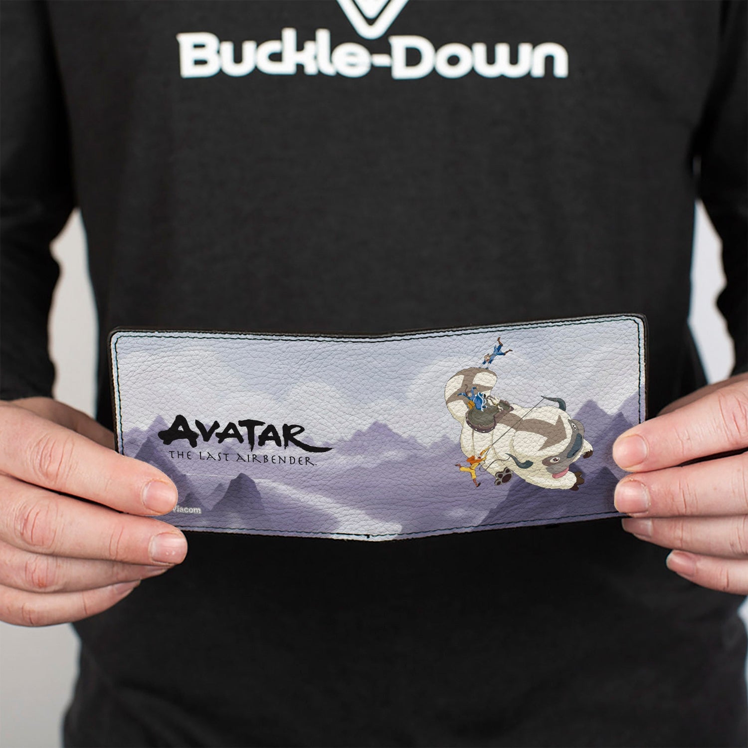 Avatar: The Last Airbender Appa & Gaang Bi - Fold Wallet - Paramount Shop