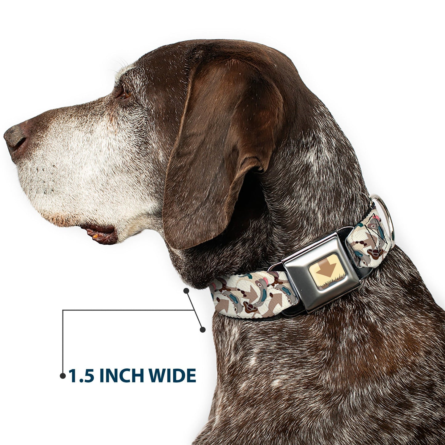 Avatar: The Last Airbender Appa Poses Seatbelt Dog Collar - Paramount Shop
