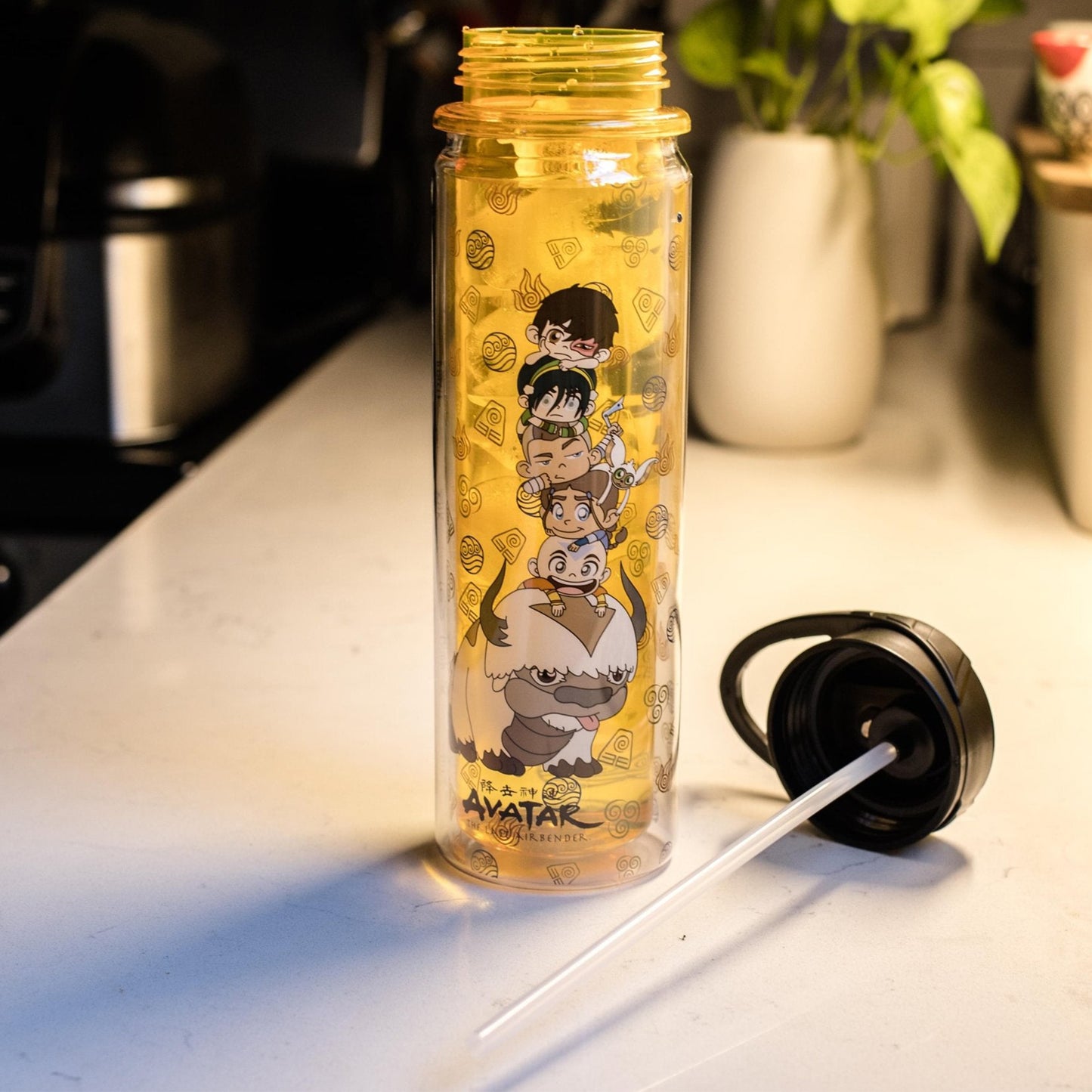 Avatar: The Last Airbender Chibi Characters Water Bottle
