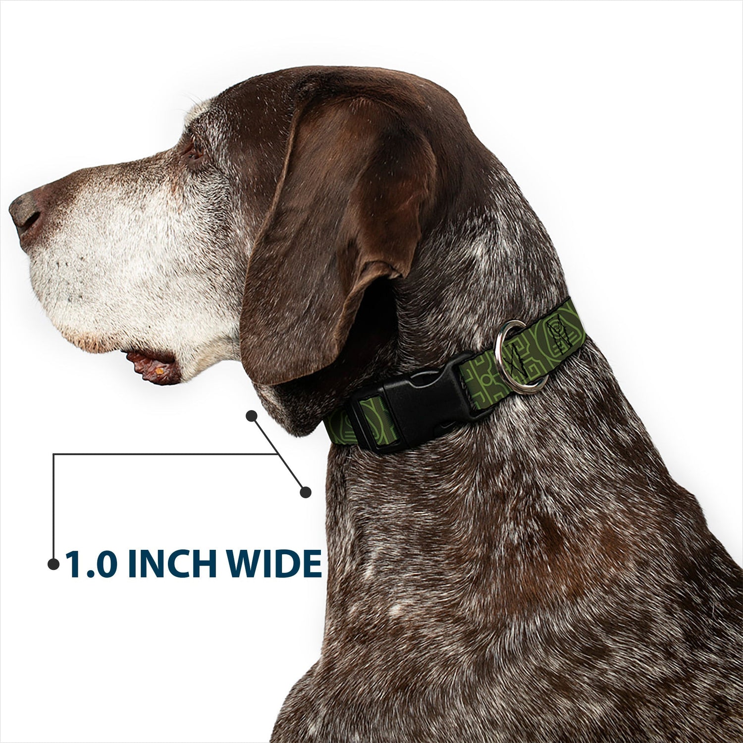 Avatar: The Last Airbender Earth Symbol Plastic Clip Pet Collar - Paramount Shop