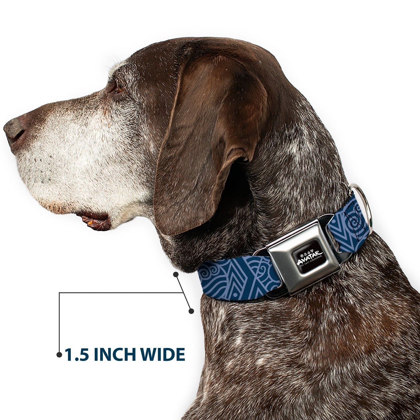 Avatar The Last Airbender Water Element Seatbelt Buckle Collar - Paramount Shop
