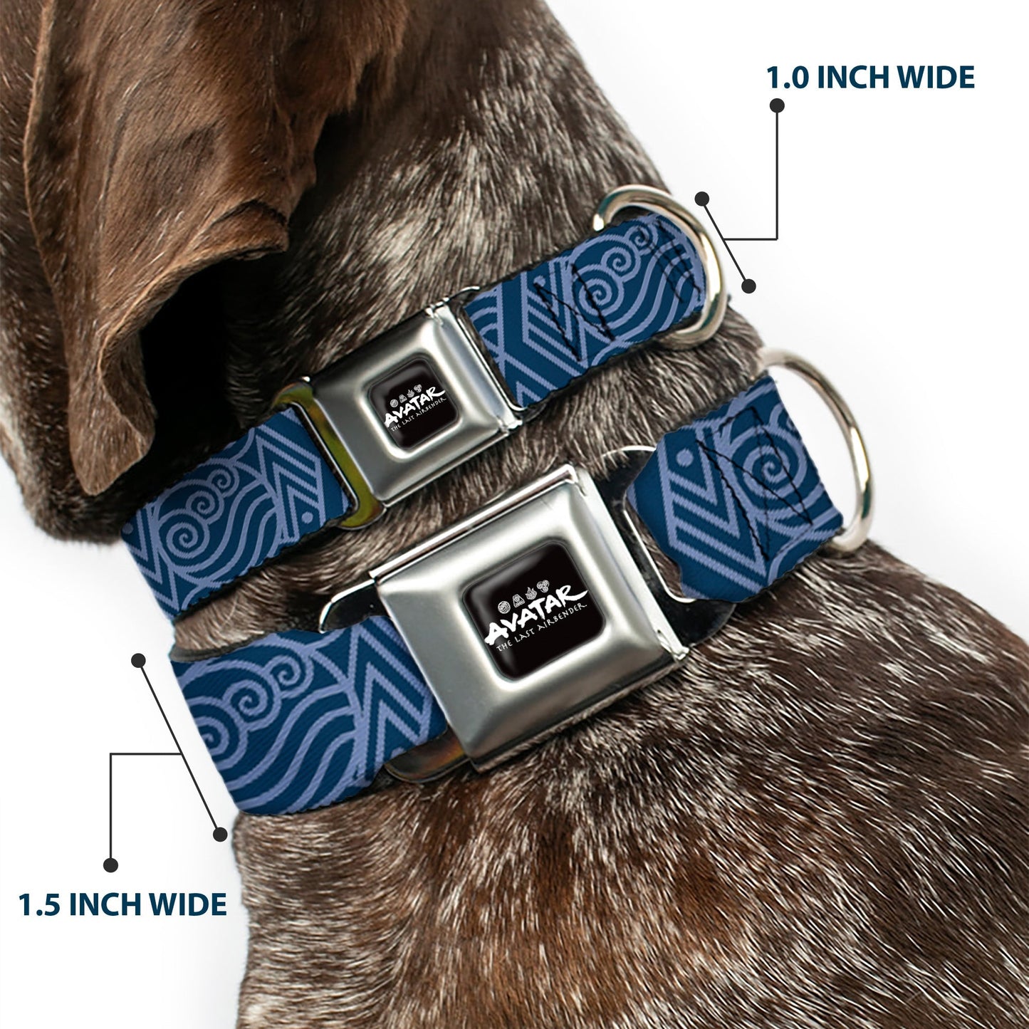 Avatar The Last Airbender Water Element Seatbelt Buckle Collar - Paramount Shop