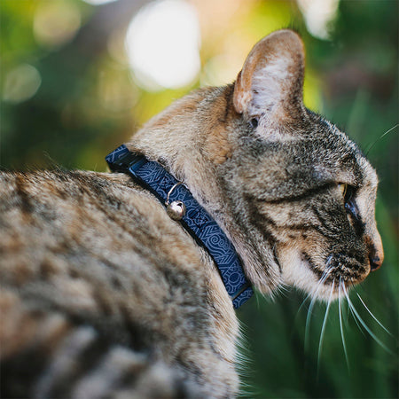 Avatar: The Last Airbender Water Symbol Breakaway Cat Collar - Paramount Shop