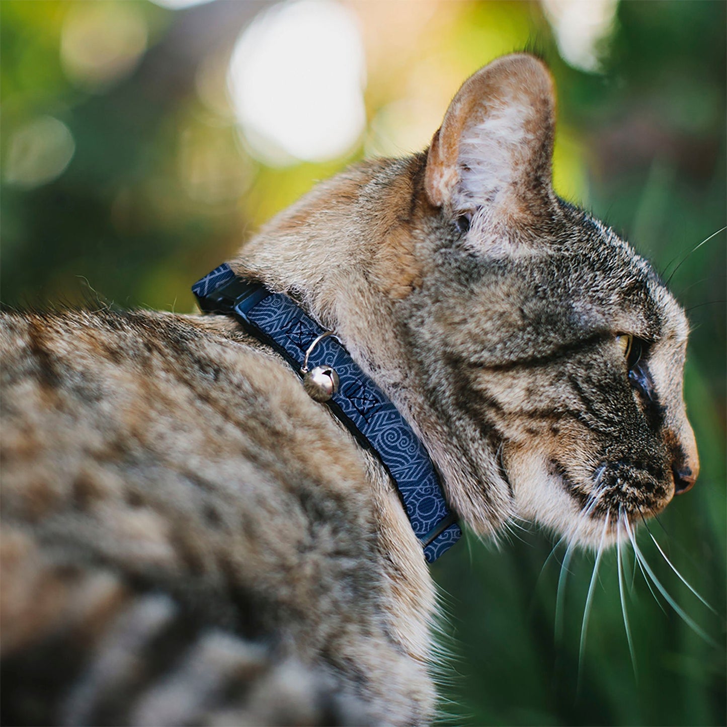 Avatar: The Last Airbender Water Symbol Breakaway Cat Collar - Paramount Shop
