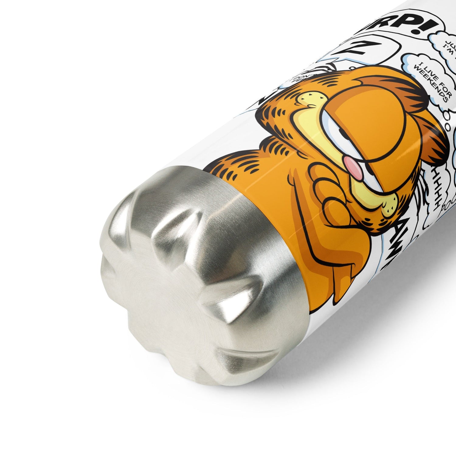 Garfield Stainless Steel Water Bottle - Paramount Shop