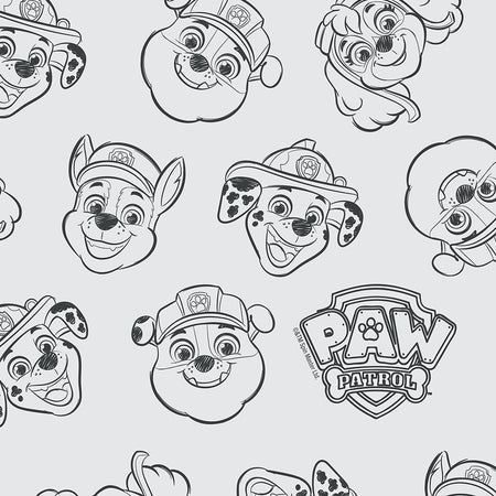 PAW Patrol Legends Throw Pillow - Paramount Shop