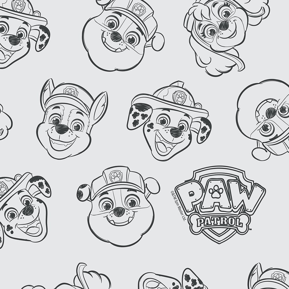 PAW Patrol Legends Throw Pillow - Paramount Shop