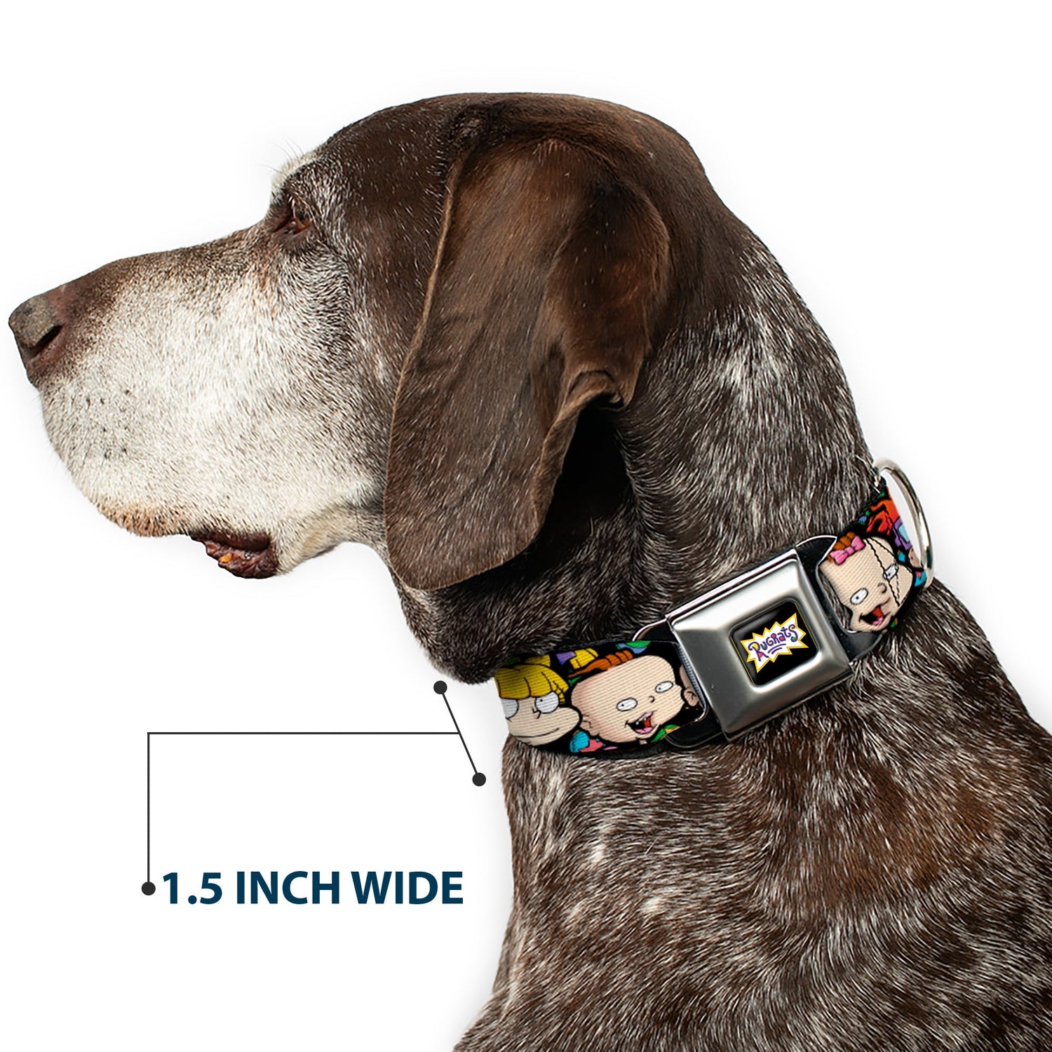 Rugrats Character Faces Close - Up Seatbelt Buckle Pet Collar - Paramount Shop