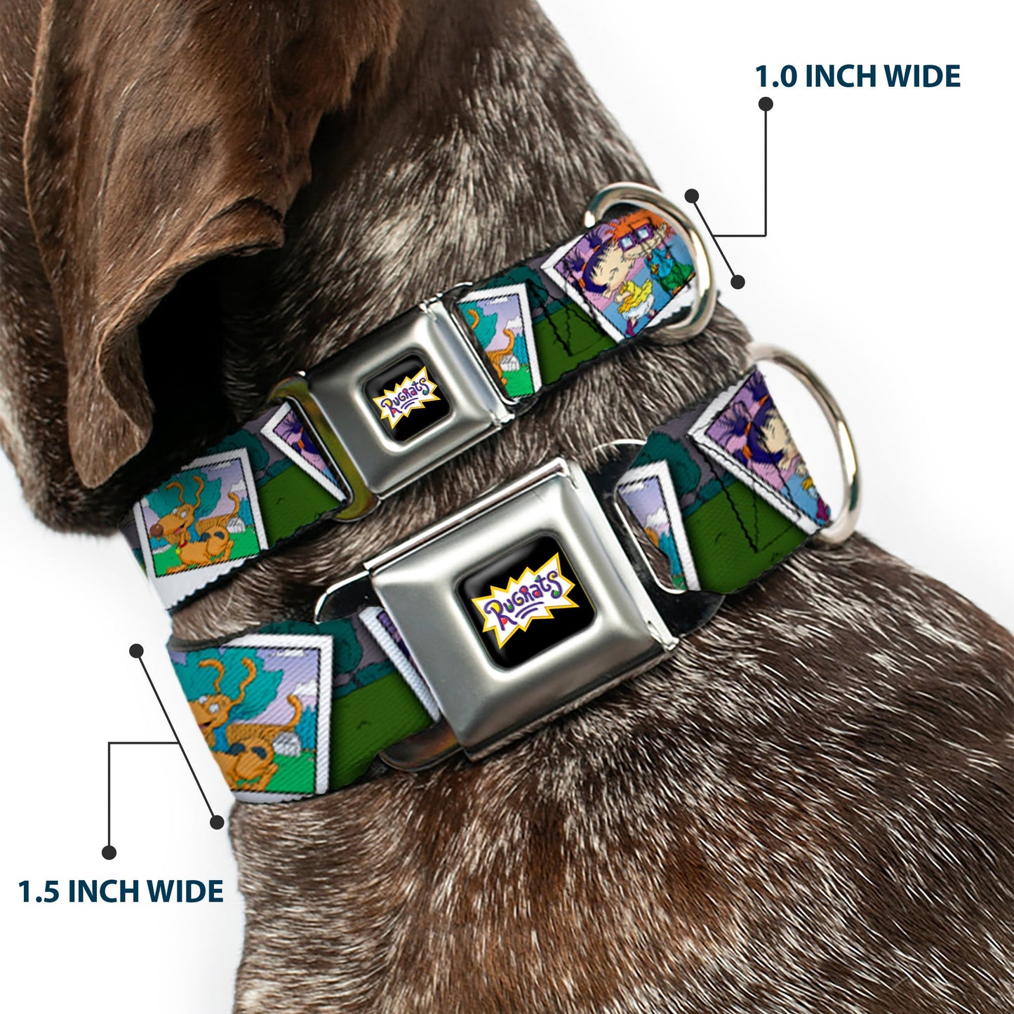 Rugrats Character Snapshots Seatbelt Buckle Dog Collar - Paramount Shop