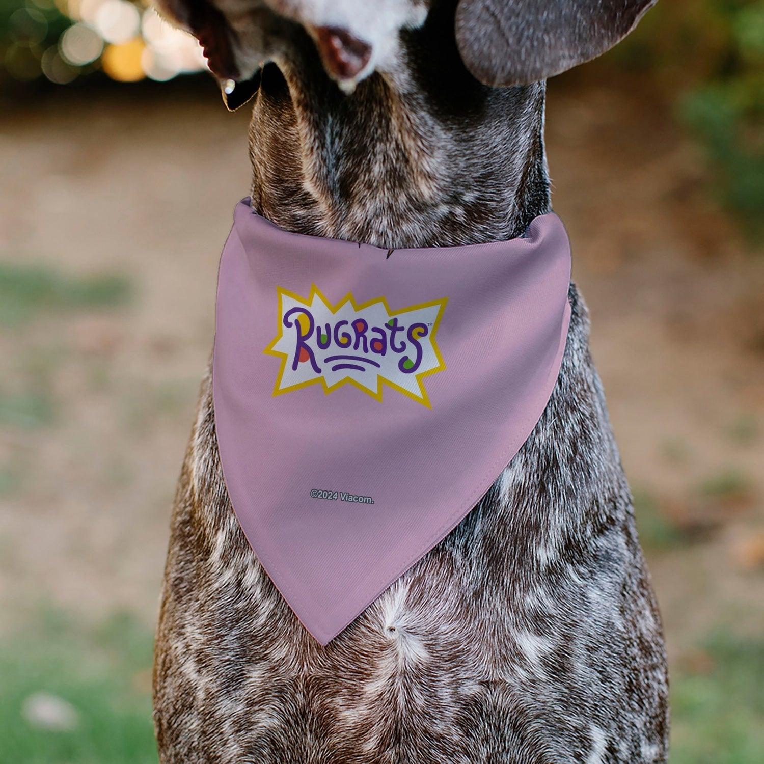 Rugrats Chuckie HUG ME Hearts Pose Pink Pet Bandana - Paramount Shop