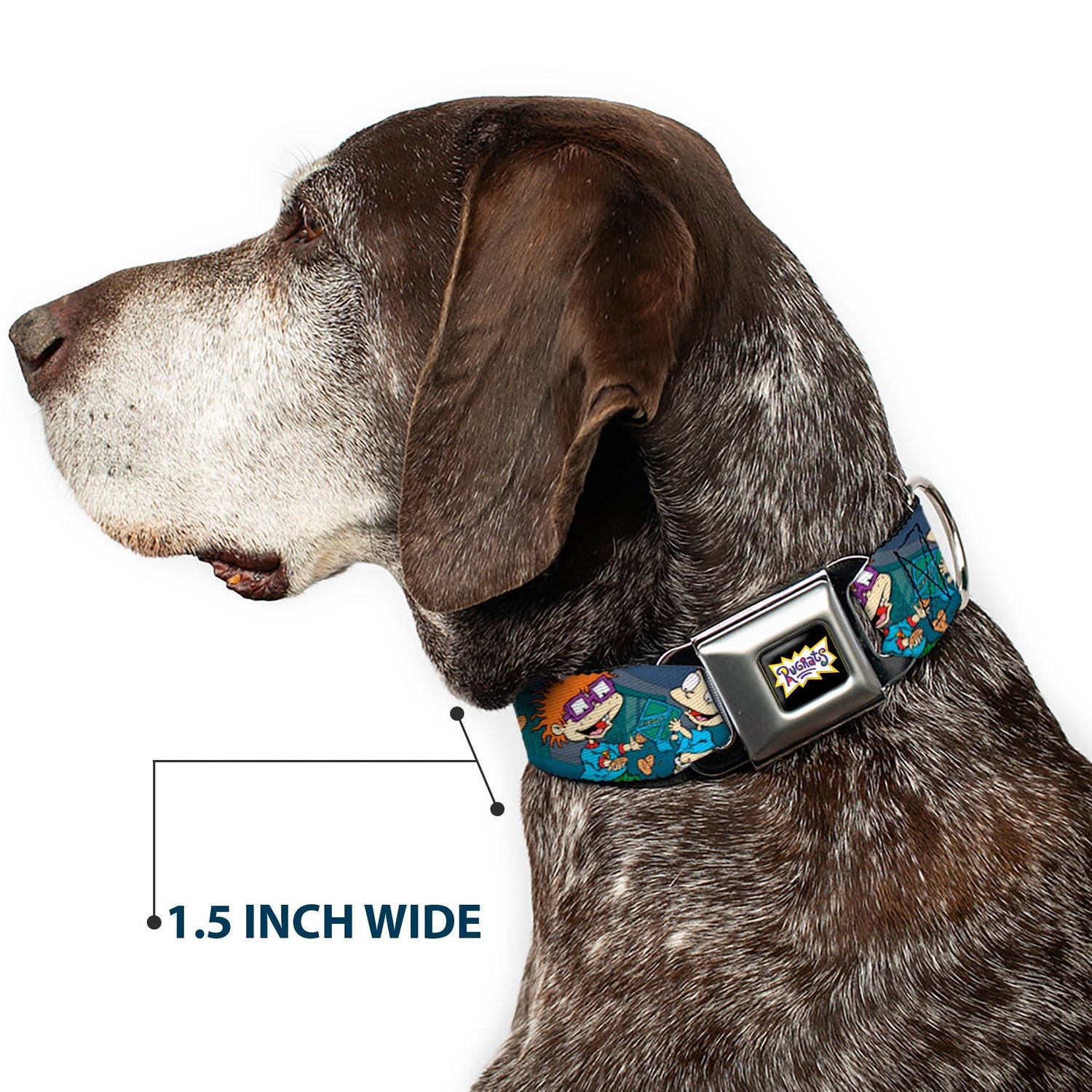 Rugrats Cookie Scene Logo Seatbelt Buckle Dog Collar - Paramount Shop
