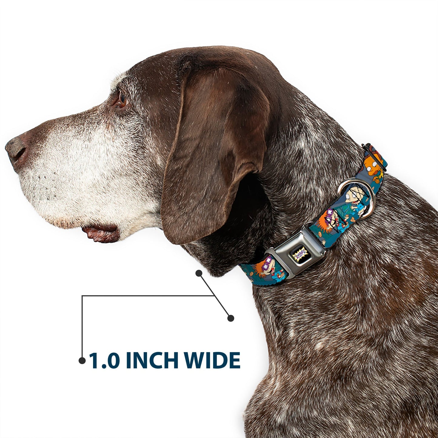 Rugrats Cookie Scene Logo Seatbelt Buckle Dog Collar - Paramount Shop
