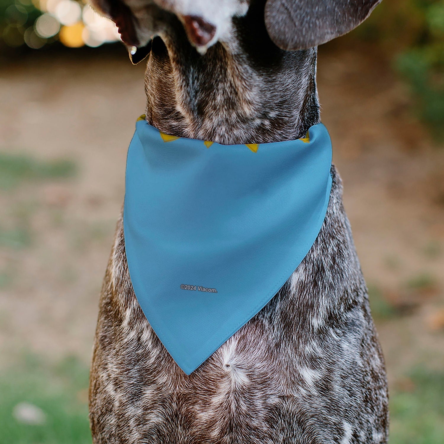 Rugrats Four Character Group Pose Light Blue Pet Bandana - Paramount Shop