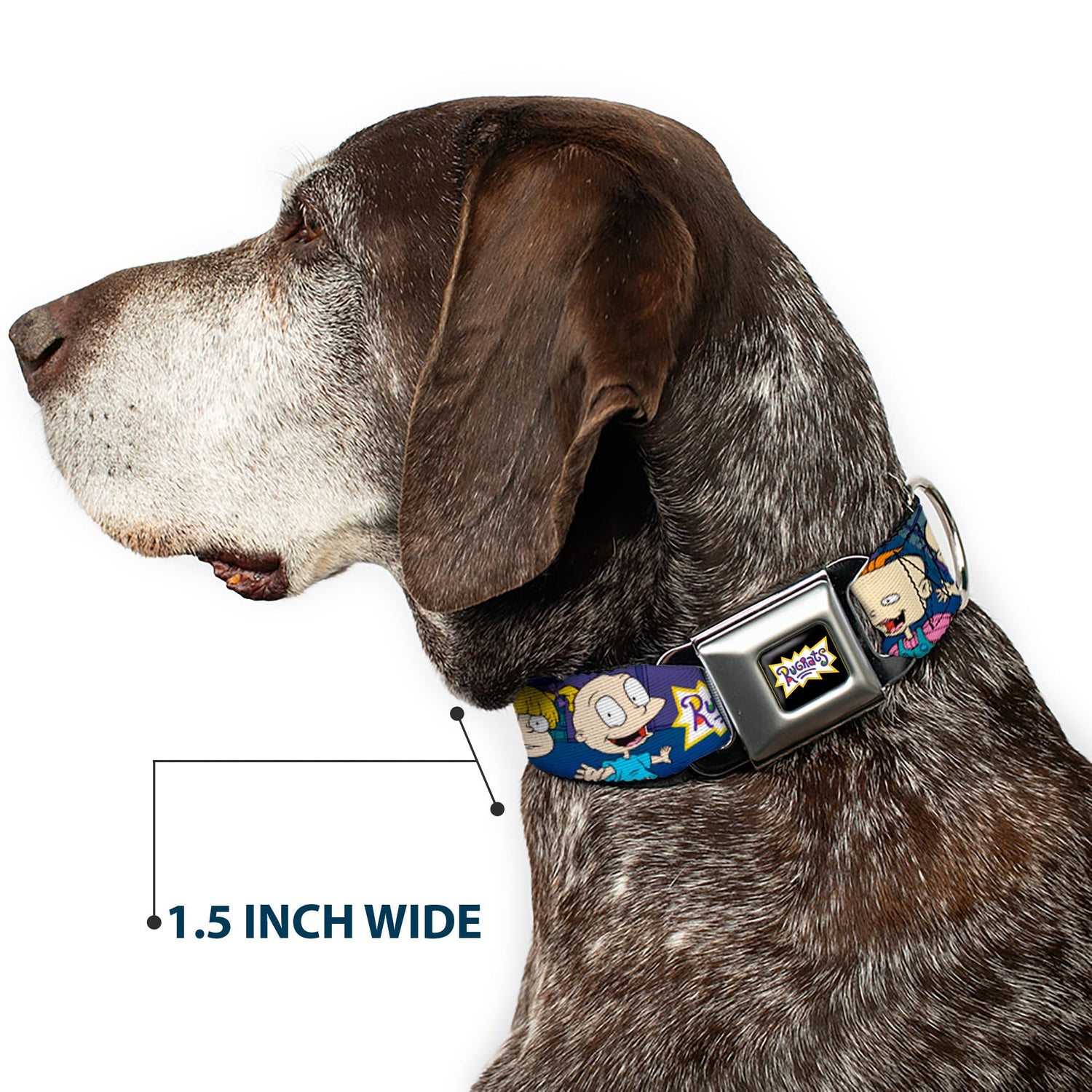 Rugrats Group Pose Seatbelt Buckle Pet Collar Merchandise - Paramount Shop