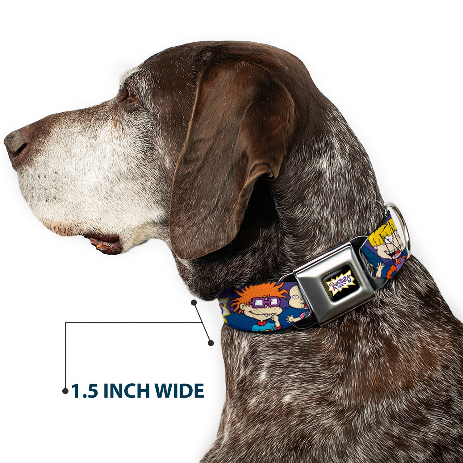 Rugrats Group Pose with Reptar Seatbelt Buckle Dog Collar - Paramount Shop