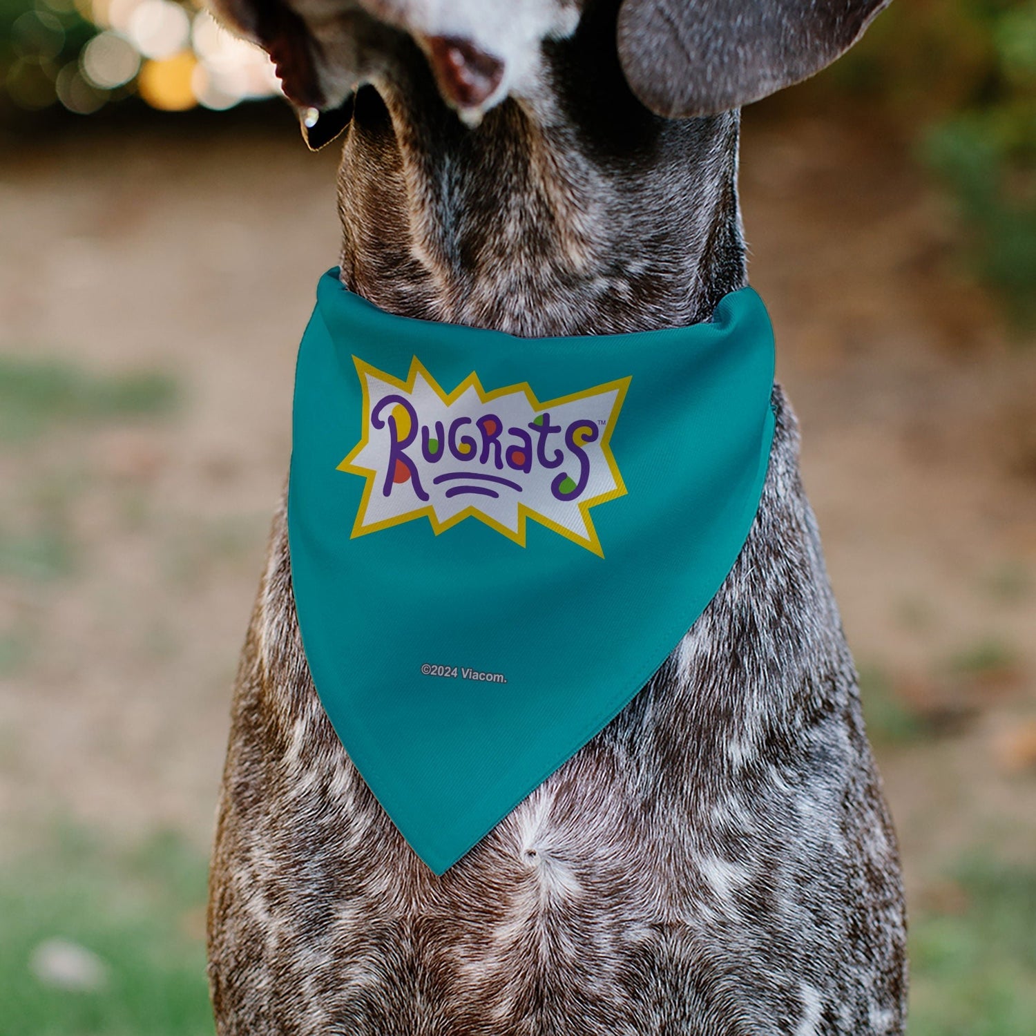 Rugrats Kids Group Pose and Title Logo Pet Bandana - Paramount Shop