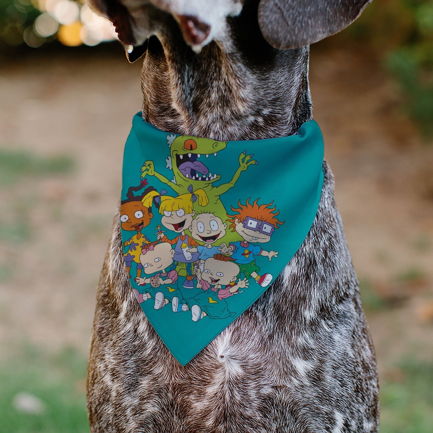 Rugrats Kids Group Pose and Title Logo Pet Bandana - Paramount Shop