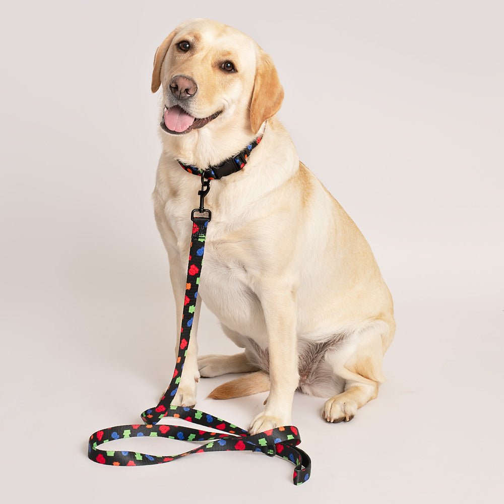 South Park Boys Pet Leash - Paramount Shop