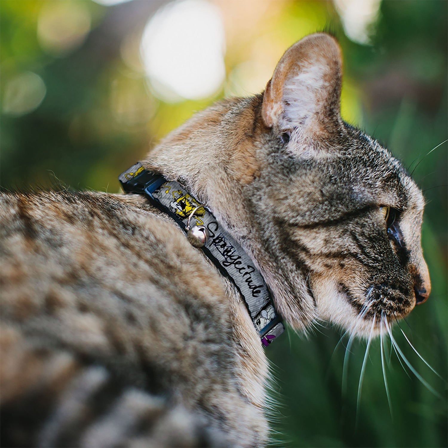 3597336 SpongeBob Cat Collar - Breakaway Bell, Official Art | Paramount Shop