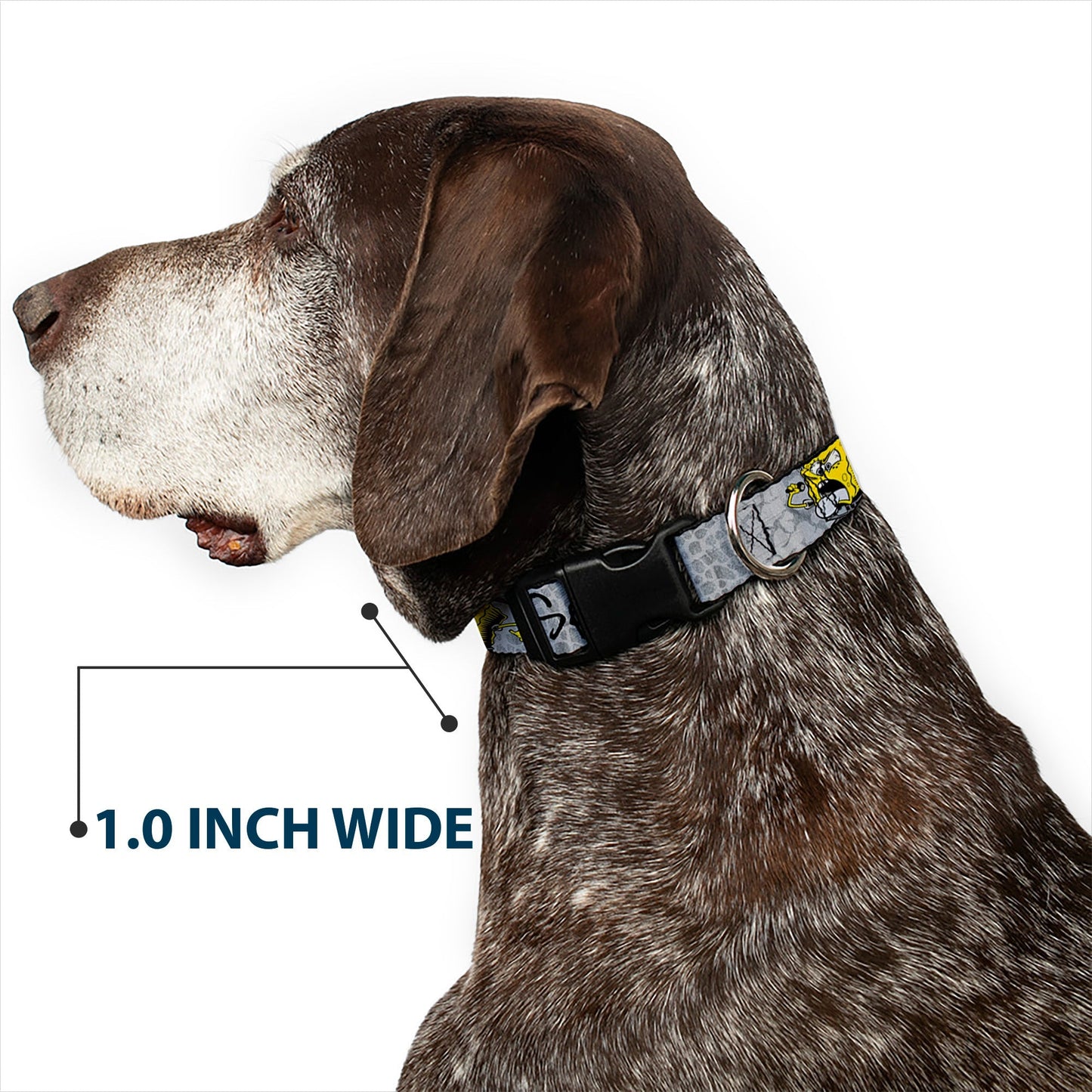 SpongeBob Dog Collar 3 - Poses SPONGEITUDE Plastic Clip Adjustable Grays/Black - Paramount Shop