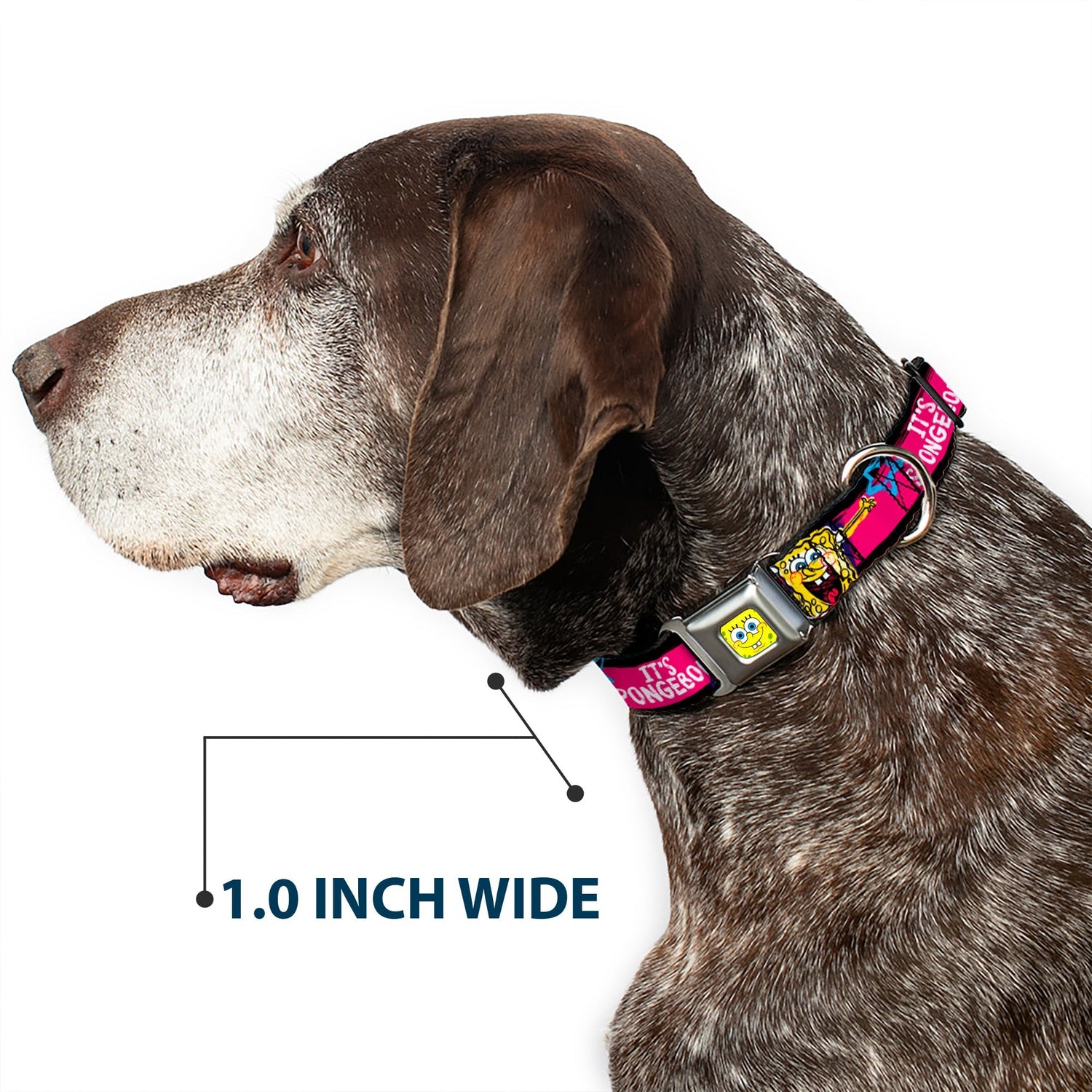 SpongeBob Dog Collar SpongeBob Face Close - Up Design Multi - Color Stripe Seatbelt Buckle - Paramount Shop