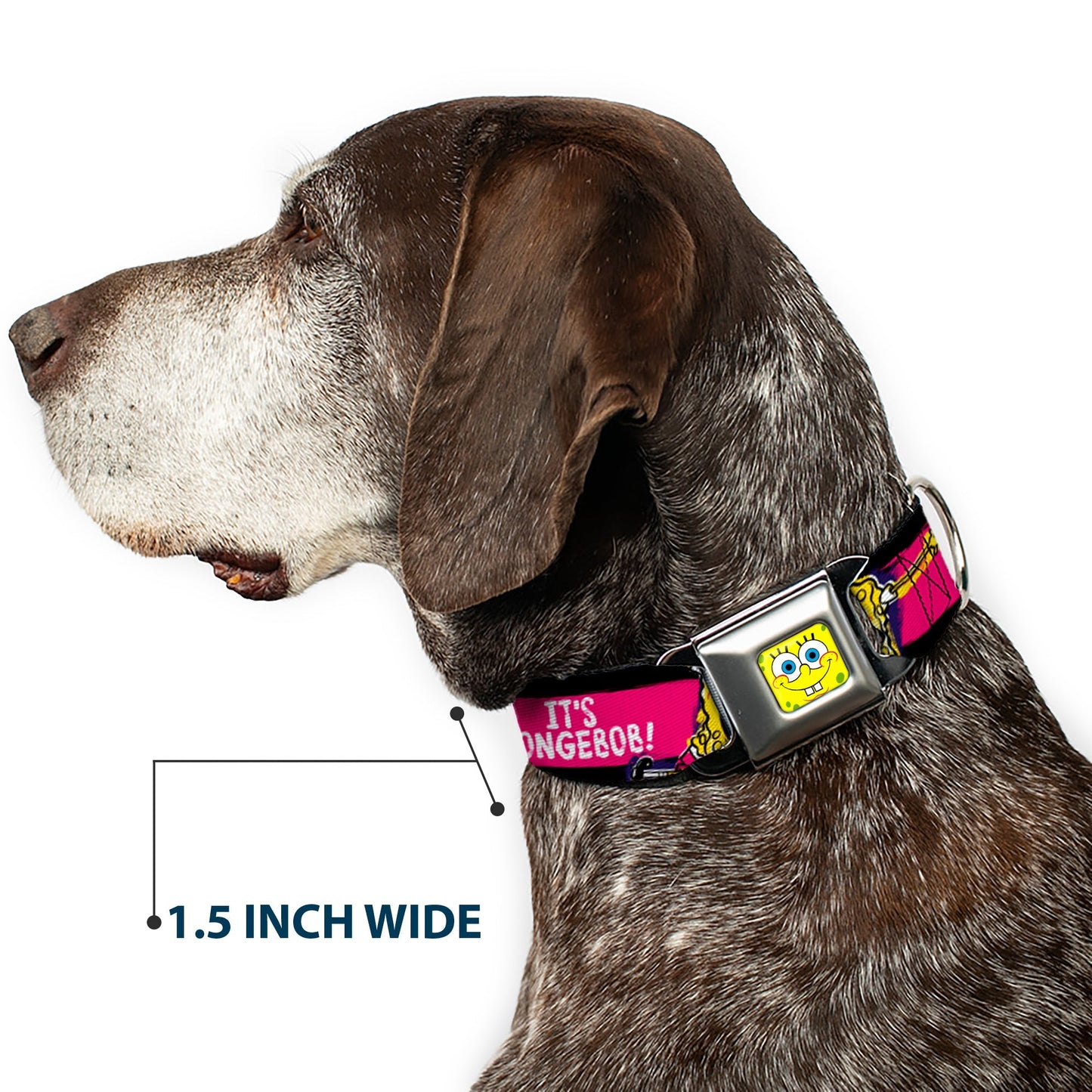 SpongeBob Dog Collar SpongeBob Face Close - Up Design Multi - Color Stripe Seatbelt Buckle - Paramount Shop