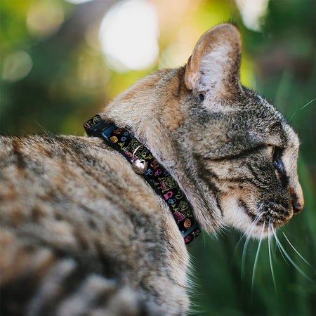 SpongeBob SquarePants Cat Collar Electric Poses Elements Breakaway with Bell Black Multi Color Adjustable - Paramount Shop