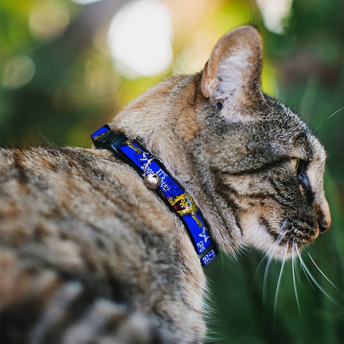 SpongeBob SquarePants Cat Collar Pose Stripe Breakaway with Bell Adjustable Black Blue White - Paramount Shop