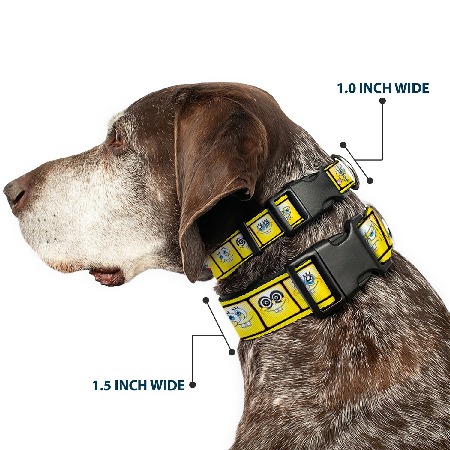 SpongeBob SquarePants Dog Collar 10 - Expressions Filmstrip Vibrant Yellows/Black/White - Paramount Shop